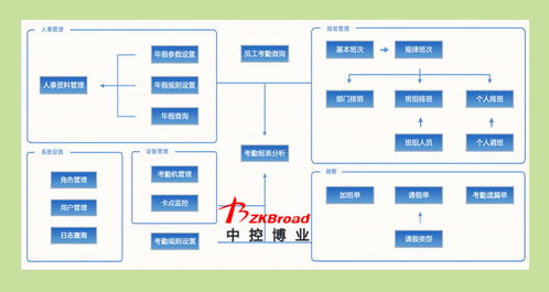 4班系统,高效学习的新模式