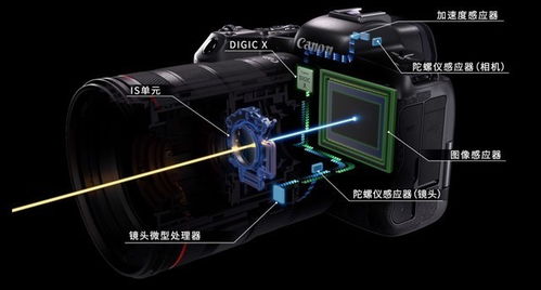 eos系统操作,从入门到实践