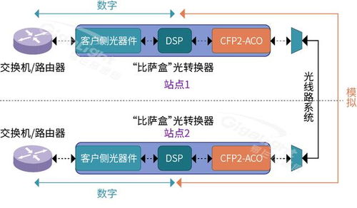 dwdm传输系统,技术原理与应用前景