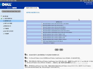 dell服务器操作系统,Dell服务器操作系统安装指南