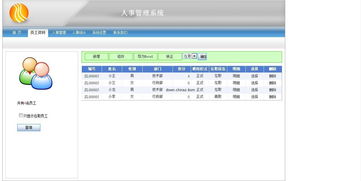 access人事系统,功能、优势与应用