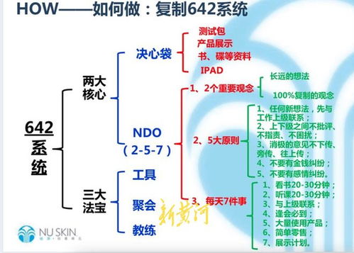 642系统的5大原则,打造高效团队协作的基石