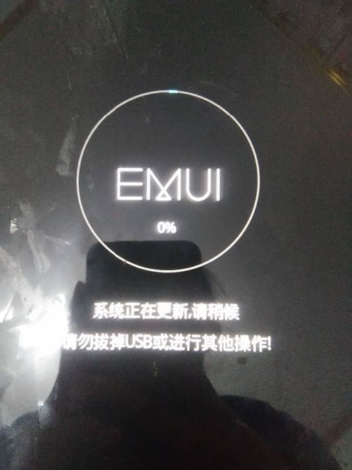 emul系统是什么,华为手机的专属操作系统