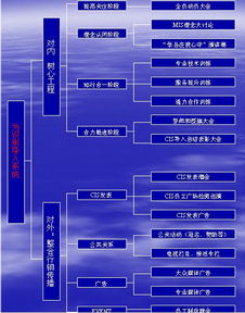 CI系统化,构建高效软件开发流程的关键