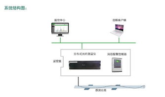 dts 系统,功能、应用与未来展望