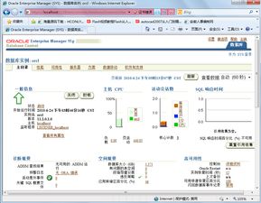 64位操作系统 oracle,64位操作系统下的Oracle数据库安装与配置指南