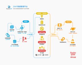 dmp系统,数据管理平台在现代营销中的应用