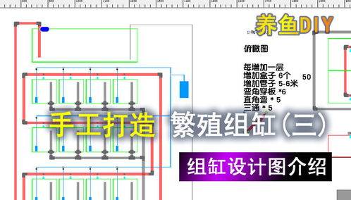 diy设计系统,打造个性化创意空间