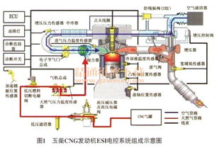 esi系统,功能、应用与未来展望