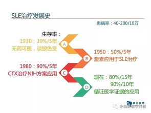 CI系统性,构建高效软件开发流程的关键