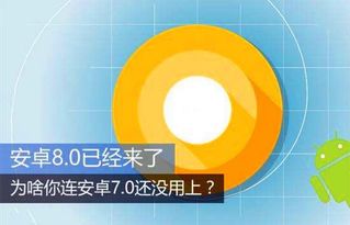 安卓子系统不流畅,揭秘卡顿背后的原因与解决方案