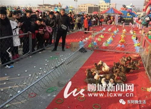 套鸭子游戏接亲