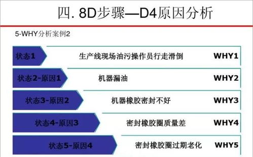 8D系统性,系统化解决复杂问题的全面指南