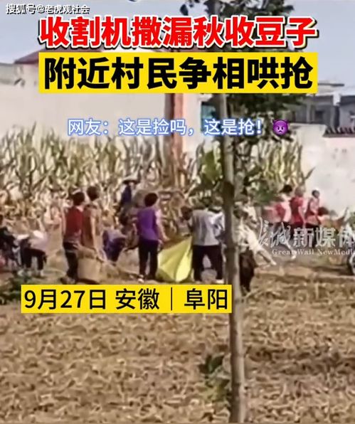 老人捡豆子游戏