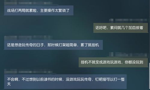 混沌西游(游戏托特权) 