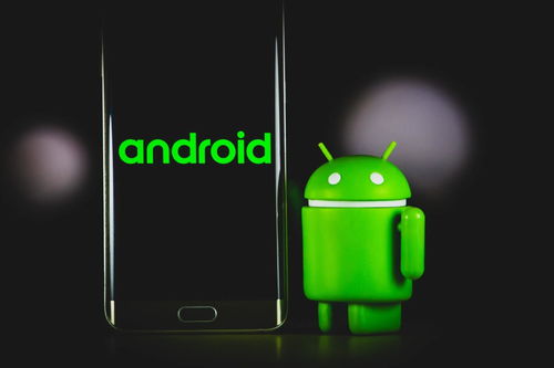 安卓系统摄像头代码在哪,Android系统摄像头代码生成与实现概述