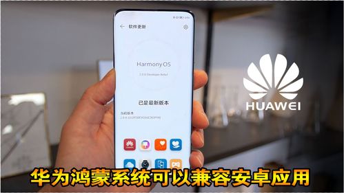 华为鸿蒙与安卓系统区别,架构、性能与生态的全面对比