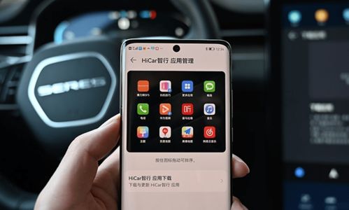 车机系统安卓手机,智能驾驶新体验解析