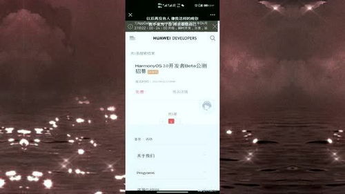 安卓鸿蒙哪个系统更好,全面解析两大操作系统的优劣与未来趋势”