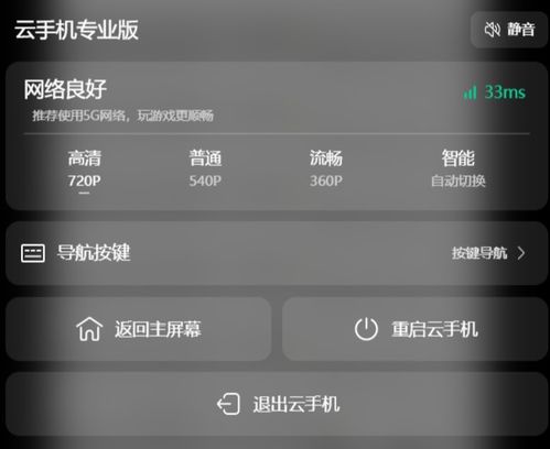 网页版安卓手机系统,网页版操作指南与功能概览
