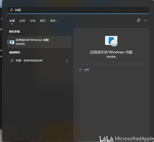 安卓子系统新玩法,解锁无限可能