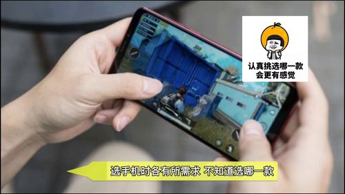 安卓系统最好的机型,盘点年度最佳安卓手机