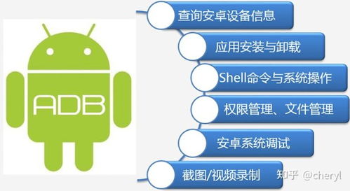 安卓系统usb协议,从基础到应用