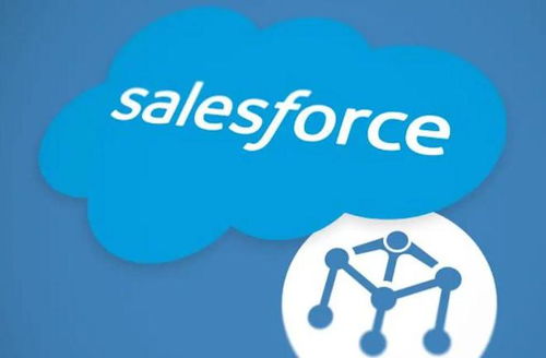 安卓系统安装salesforce,安卓系统操作指南