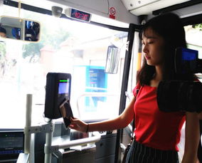 安卓系统坐公交,智慧出行新体验