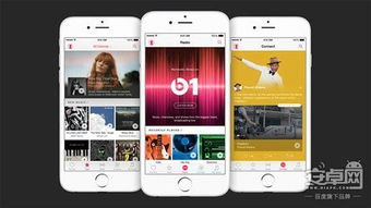 安卓内置苹果系统,兼容与创新的双重魅力