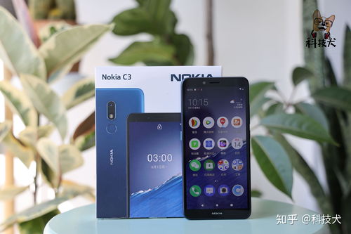 10系统安卓机,性能升级与智能体验全面解析