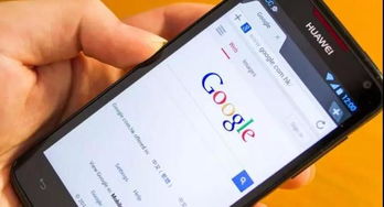 安卓系统养猫华为,温馨相伴