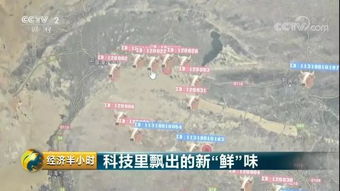 北斗放牧系统安卓,科技助力传统放牧