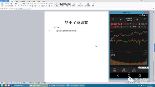 安卓装麒麟系统,麒麟系统在安卓平台上的应用与展望