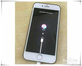 手机安卓降级系统,回顾与展望