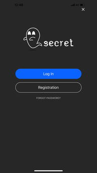 安卓系统secretchat,secretchat功能解析