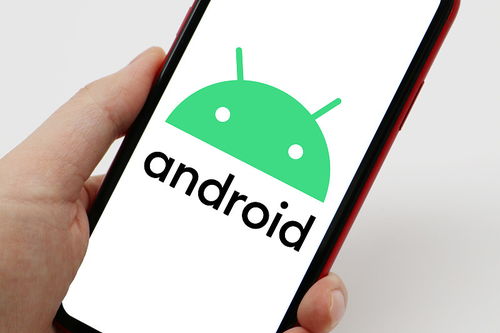 安卓手机系统不足,揭秘潜在风险与应对策略