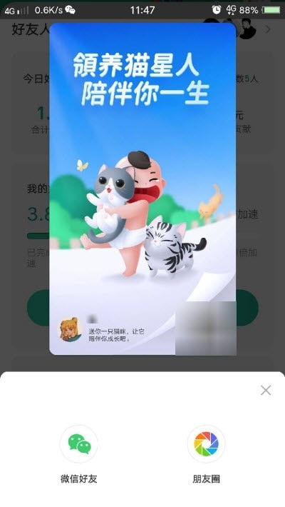 安卓系统养猫游戏,猫咪养成游戏深度体验