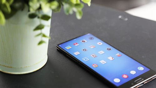 坚果三安卓系统,深度解析与全面体验